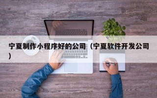 霸州宁夏制作小程序好的公司（宁夏软件开发公司）