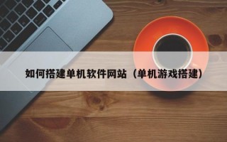 霸州如何搭建单机软件网站（单机游戏搭建）